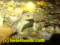 /home//u458753944/public_html/sourcegallery//McKaig Nature Center/2024-09-23/P9231602.JPG